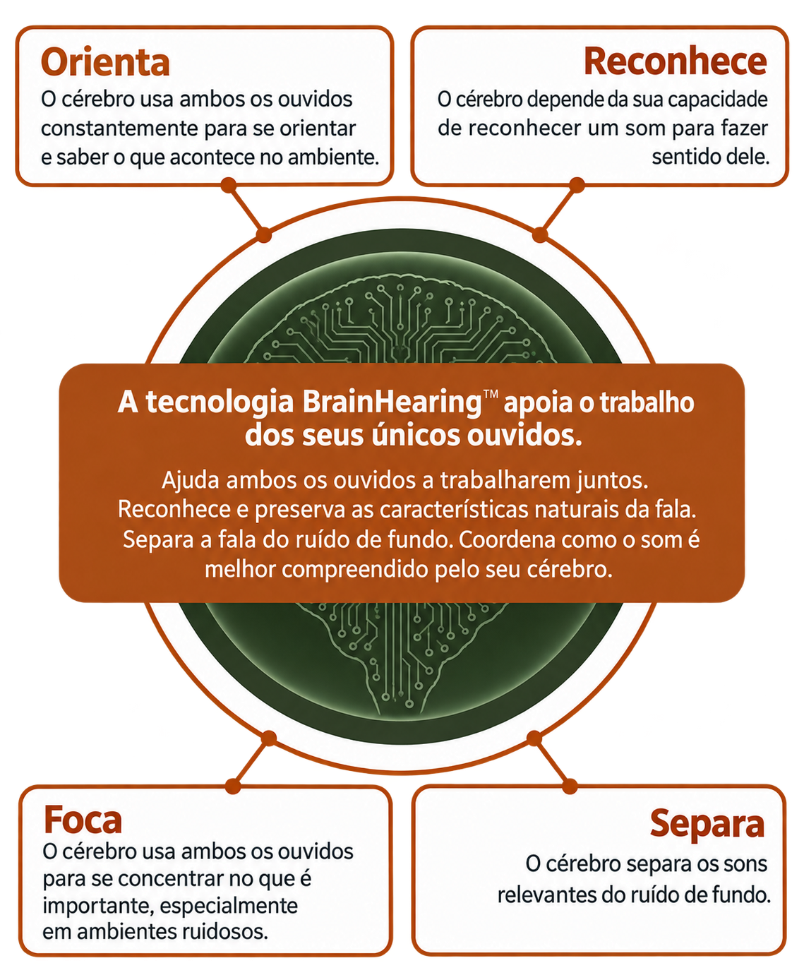 Infográfico da tecnologia BrainHearing™: o cérebro orienta, reconhece, foca e separa os sons com a ajuda dos dois ouvidos.